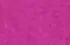 fuchsia fuchsia