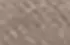 taupe taupe