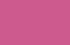 rose rose