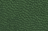 vert vert