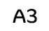 A3