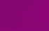 fuchsia fuchsia