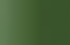 vert vert