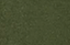 army