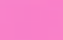 rose rose