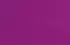 fuchsia fuchsia