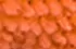 orange orange