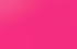 fuchsia fuchsia
