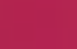 fuchsia fuchsia