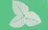 menthe menthe