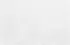 artic white artic white