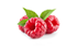 framboise framboise