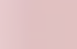 rose pastel rose pastel