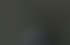 vert olive