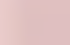 rose pastel rose pastel