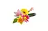 fleurs des champs fleurs des champs