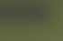 vert olive