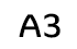 A3