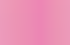 rose rose