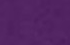 violet violet