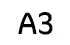 A3