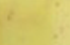 jaune jaune