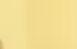 jaune jaune