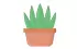 aloe vera aloe vera