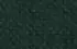 vert foncé