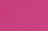 fuchsia fuchsia