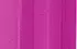 fuchsia fuchsia