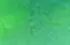 vert vert