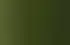 vert foncé vert foncé