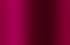 fuchsia fuchsia