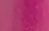 fuchsia fuchsia