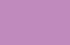 léopard violet léopard violet